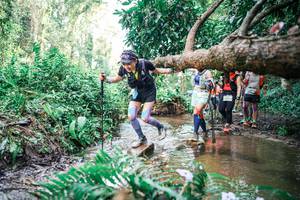 BIB: 
                            <button type="button" onclick="openModal(25514951)" class="btn btn-primary btn-sm float-right btn-popup" data-toggle="modal" data-target=".modal-high-quality">
                        <i class="fas fa-shopping-cart"></i> Add to Cart
                    </button>
                                            <button type="button" onclick="isThisMe(25514951, true)" class="btn btn-success btn-sm float-right btn-popup btn-isme hidden" data-toggle="tooltip" data-placement="bottom" title="นี่คือรูปของคุณใช่ไหม คลิกที่นี่เพื่อเอาเข้าอัลบั้ม">
                        <i class="fas fa-plus"></i> Add to album
                    </button>
                    <button type="button" onclick="isThisMe(25514951, false)" class="btn btn-warning btn-sm float-right btn-popup btn-isnotme hidden">
                        <i class="fas fa-ban"></i> Remove from album
                    </button>